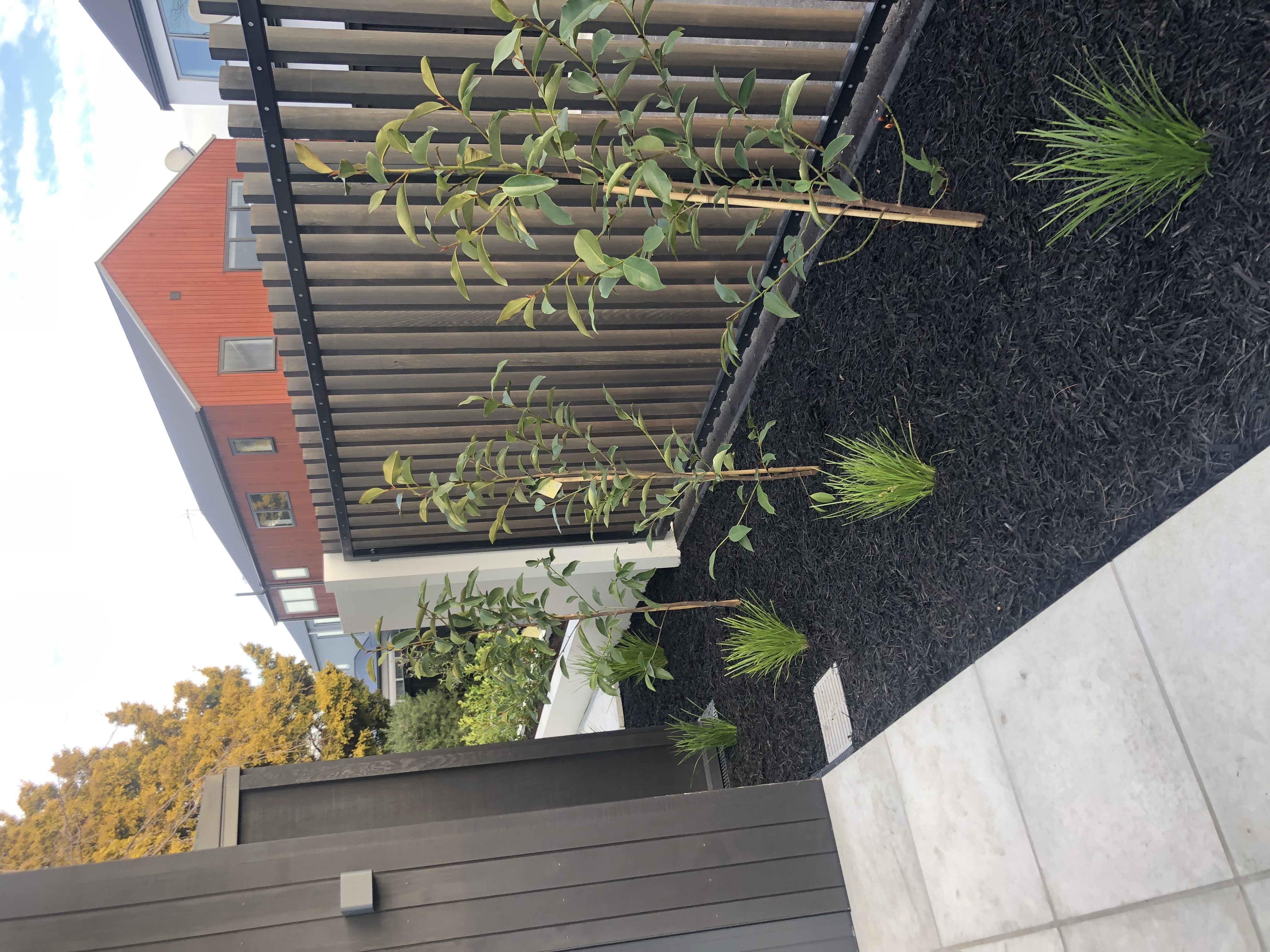 Black Forrest Mulch / Bark