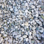 ARCTIC WHITE / WAITUNA (8-14mm)