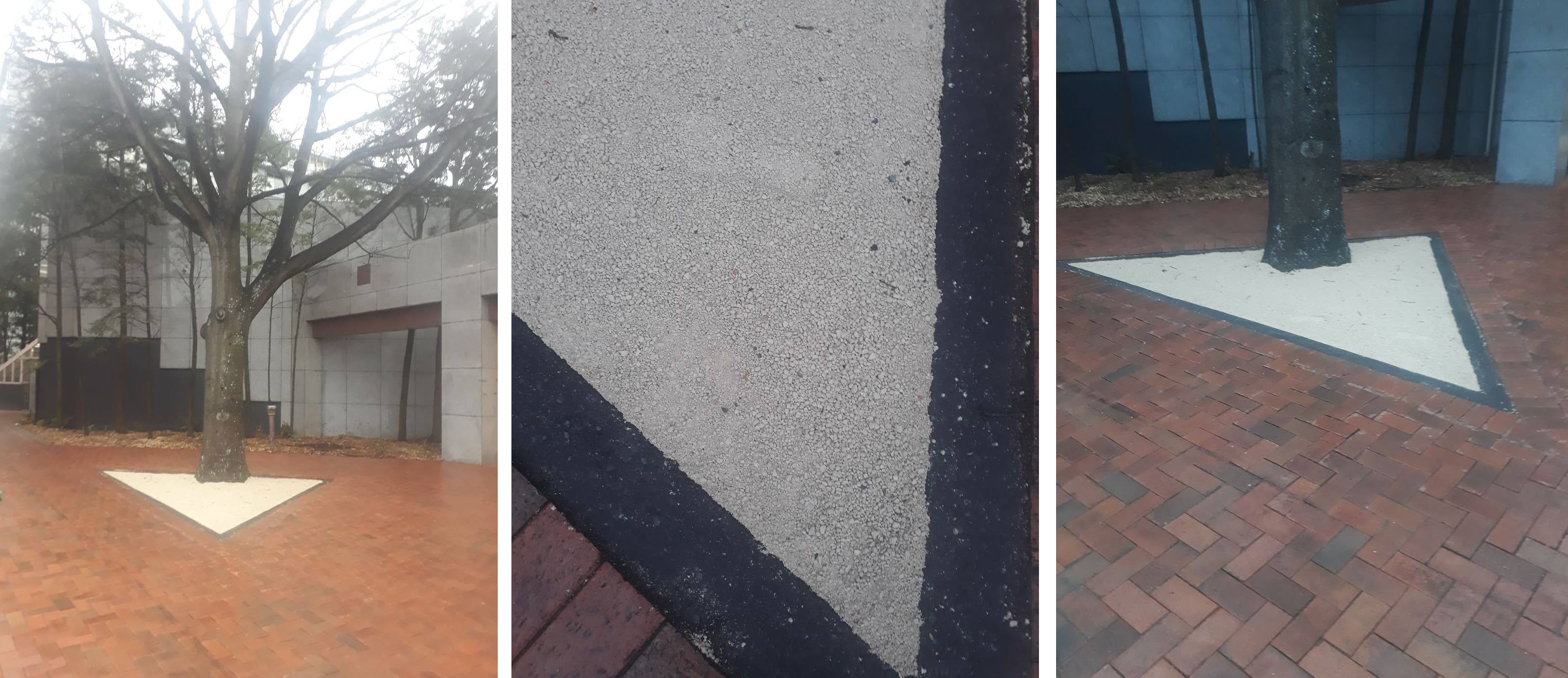 Springfield Lime Pathway - Courtyard