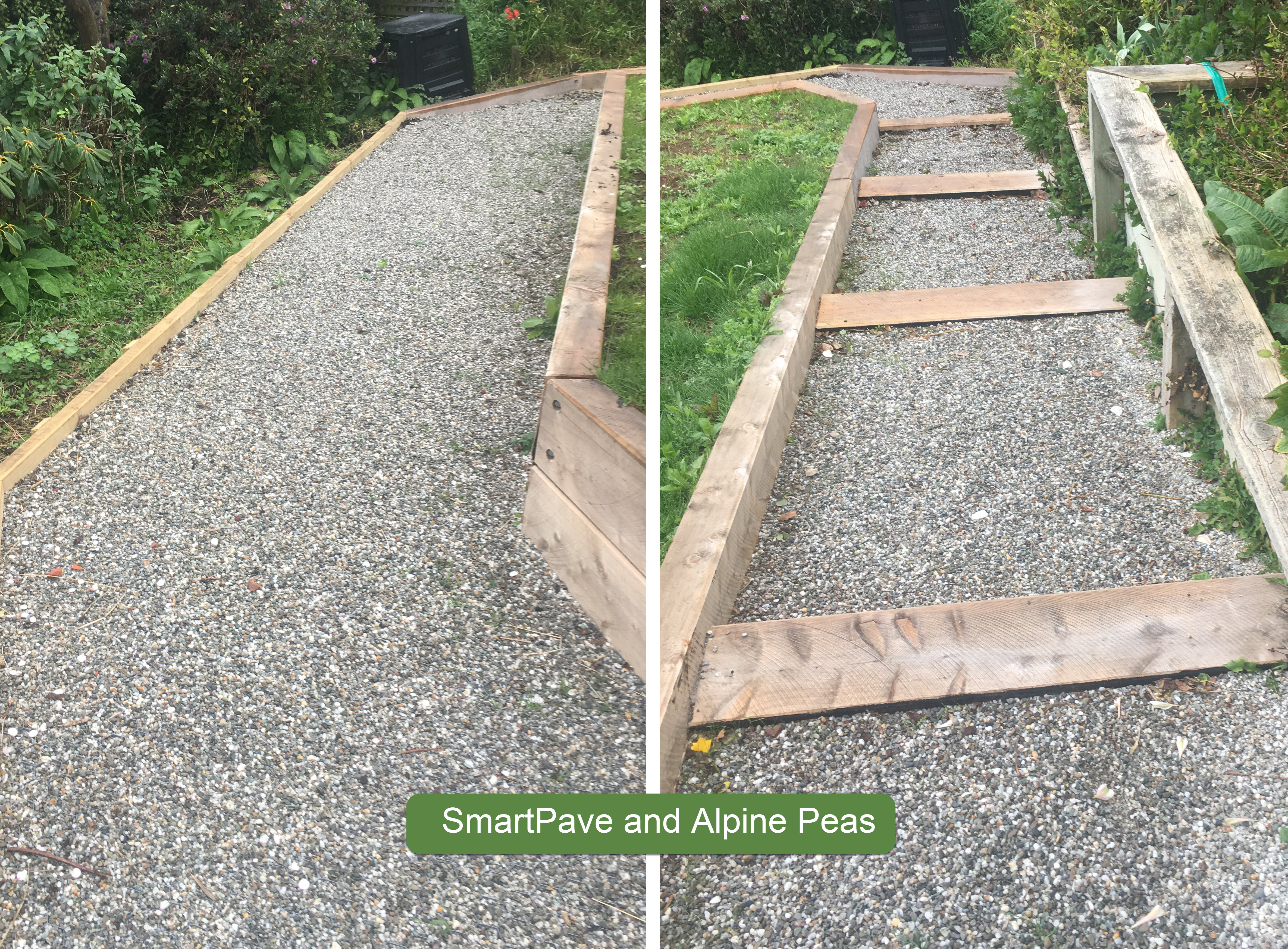 Smartpave and Alpine Peas on Path and St