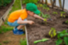 Landscape Supplies Christchurch, Garden Supplies Canterbury, Decorative Stone, Compost and Bark, Permeable paving, Playground Bark