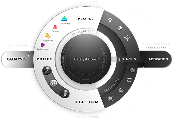 Catalyst Coreâ„¢ Model light.png