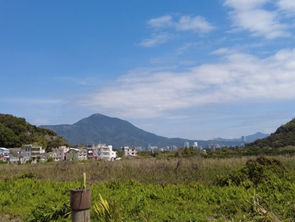 I Lived By Myself For 6 Weeks Inside My Family's Hakka Chinese Village House