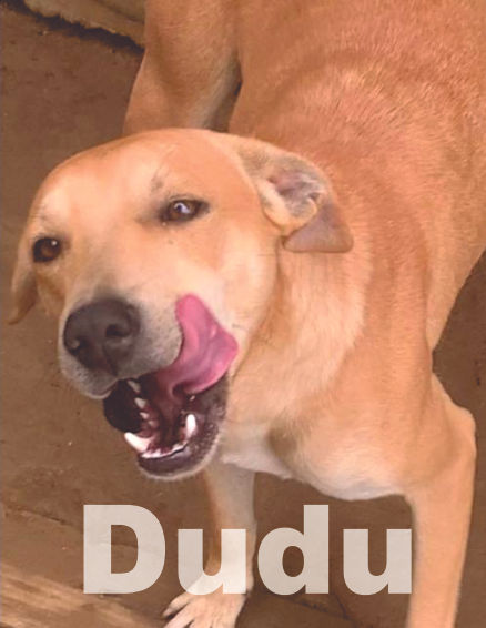 24p - Dudu.jpg