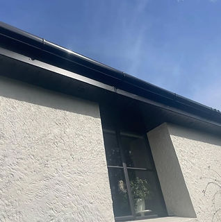 Black fascia, soffit and gutter.