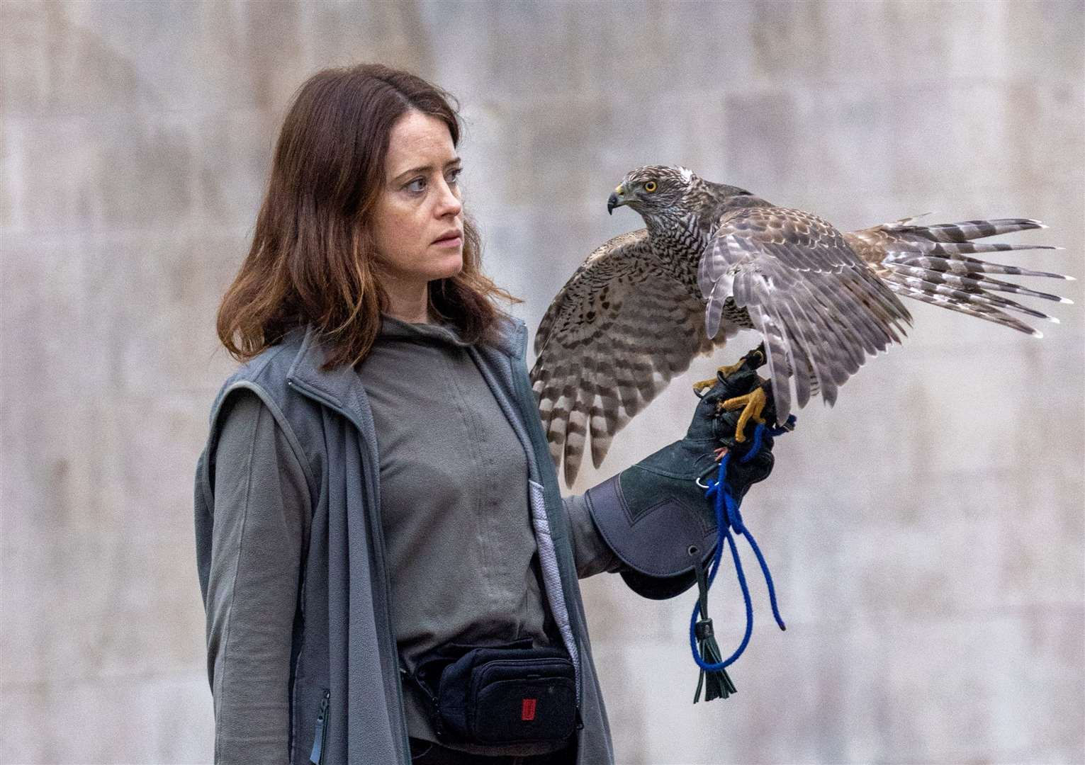 H IS FOR HAWK - Non Member Ticket