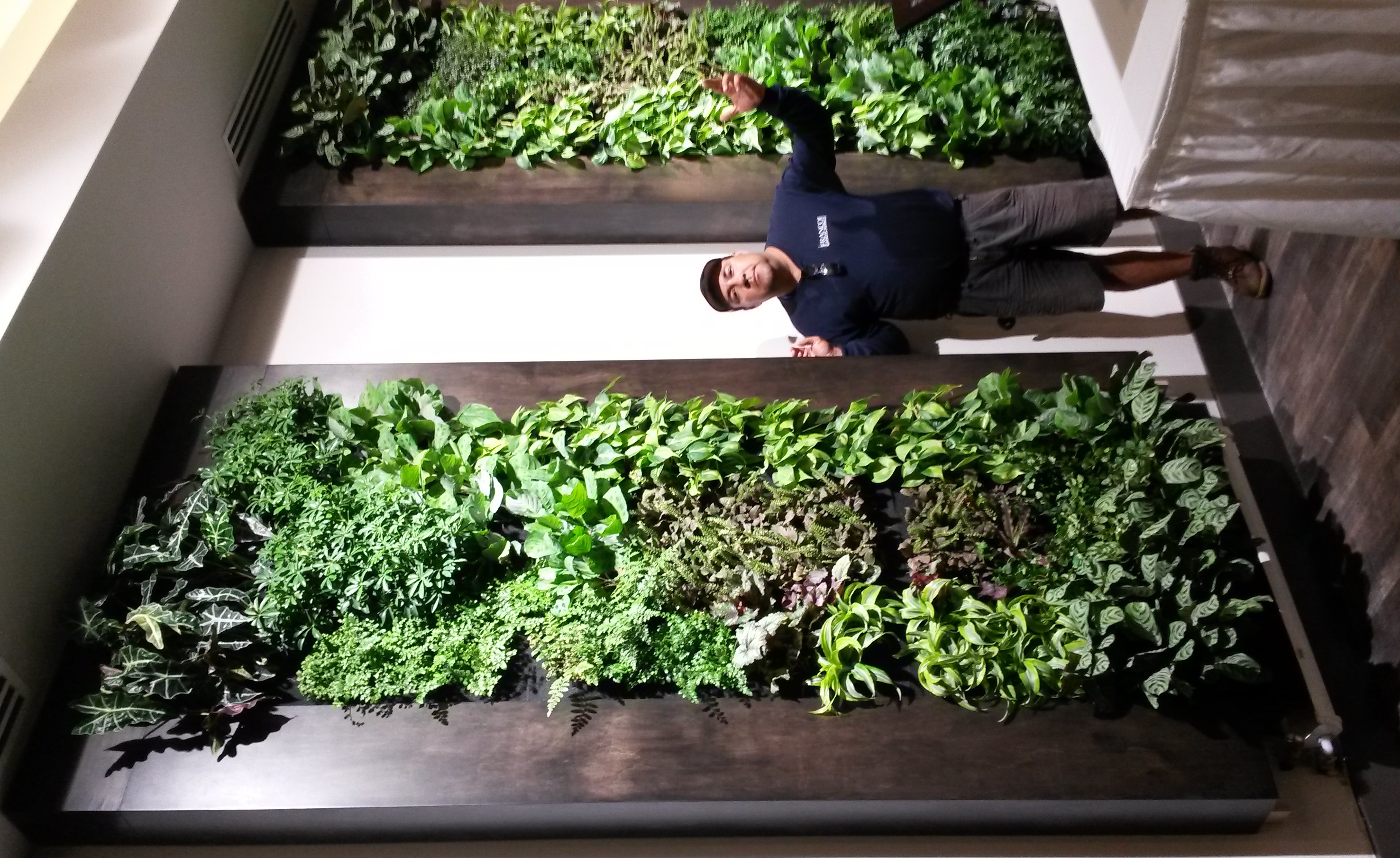 Miami Vertical Garden Inc / Living Wall Case Studies