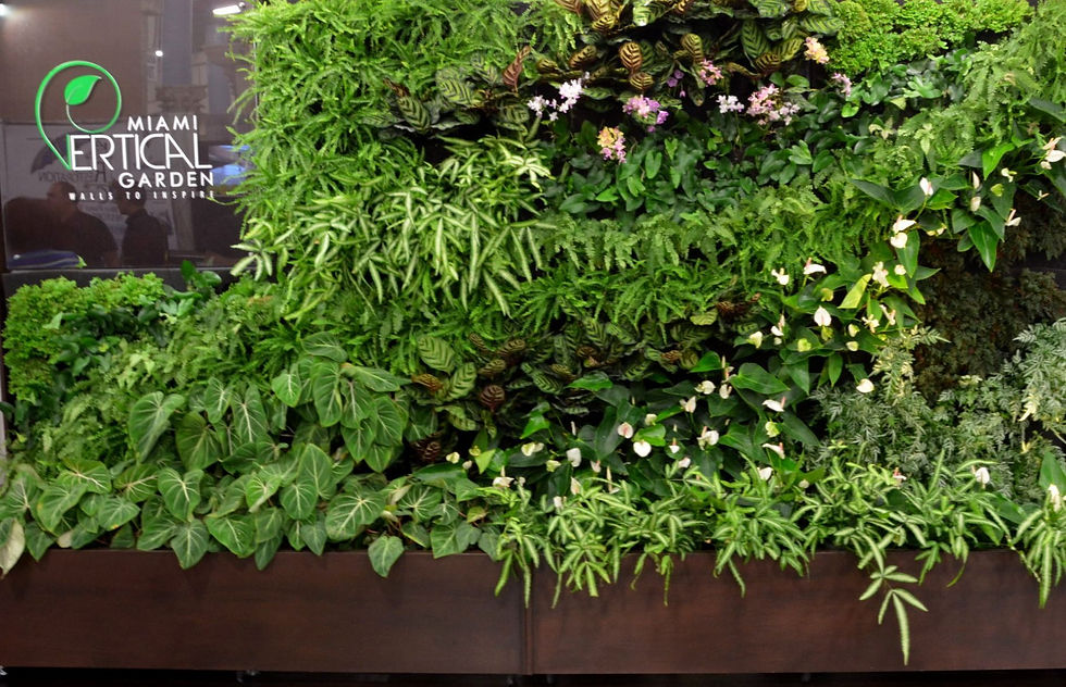 Public, Miami Home & Remodeling Show