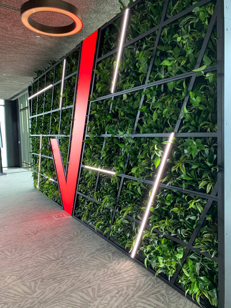 Miami Vertical Gardens and Living Walls Installation, Maintenance