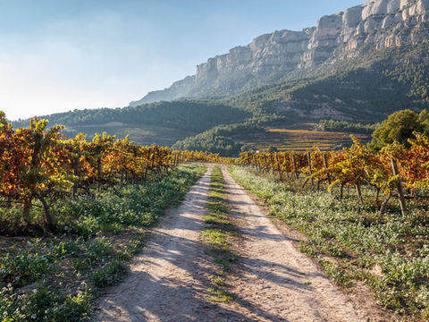 Gran Hotel Mas d'en Bruno: The Gateway to Priorat's Exceptional Wines