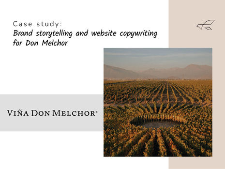 Vineyard rows at sunset, with text Brand storytelling and website copywriting. Header image for the case study slide for Viña Don Melchor.