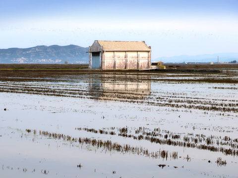 Valencia City Breaks: Explore the Beauty of Albufera Lake