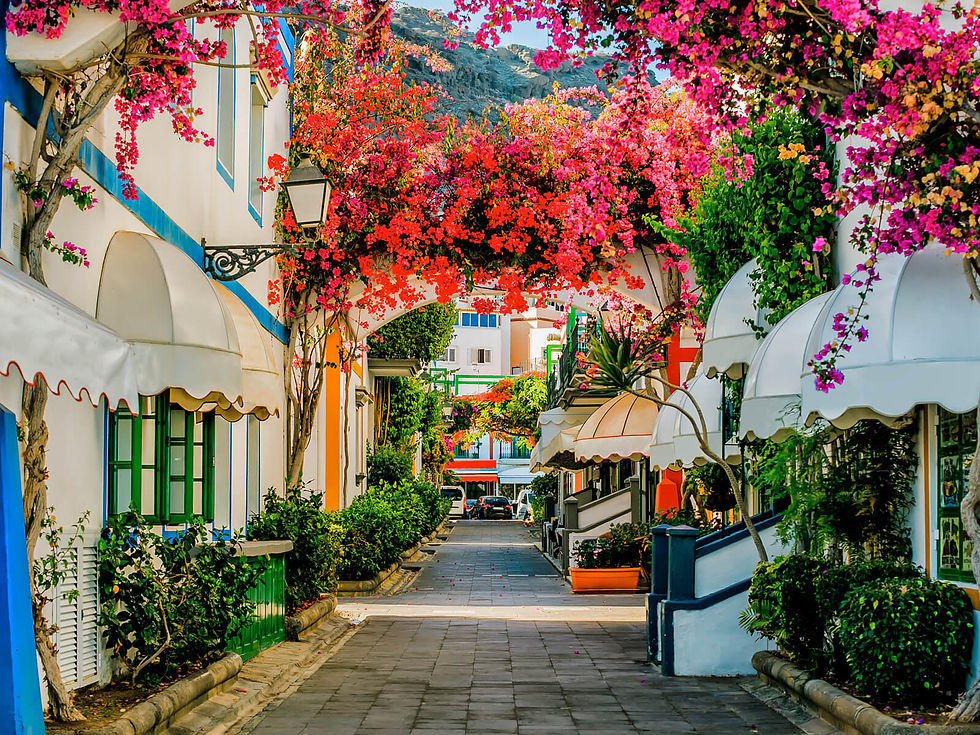 Colorful street with vibrant pink flowers arching overhead, flanked by white buildings with green accents. Bright, inviting, and serene.