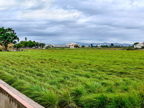 Short breaks to Valencia: How to enjoy a green weekend in Valencia's Huerta Norte