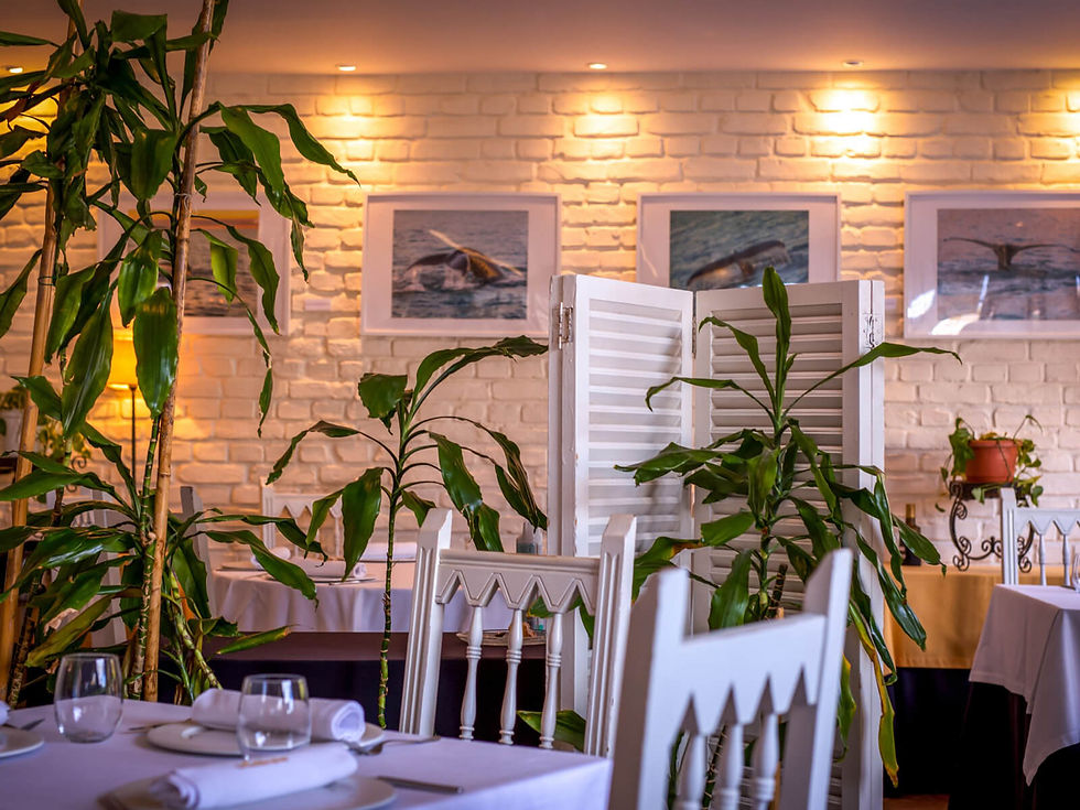 Cozy restaurant interior with white tables, green plants, and framed whale photos on a brick wall. Warm ambient lighting enhances the mood.