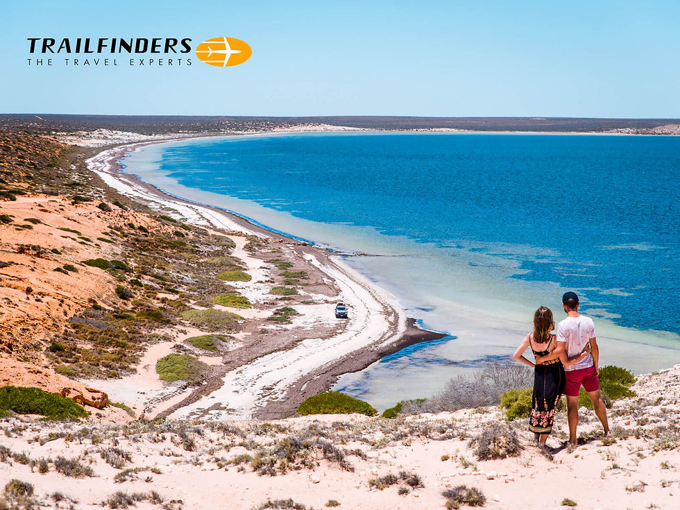 Couple stands on a sandy cliff overlooking a bright blue coastal landscape. "TRAILFINDERS THE TRAVEL EXPERTS" logo is in the top left. Header image related to the case study "Positioning Trailfinders as the leader in tailor-made travel"