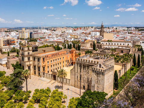 Aerial view of the historic city of Jerez, with stone buildings, palm trees, and orange rooftops. Header image related to the blog post "Eat, Drink, Love: Why Jerez is Spain’s Gastronomic Capital for 2026"
