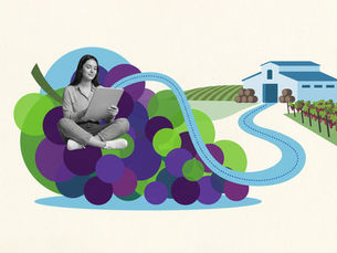 Collage style image: Woman sitting with tablet on colorful grapes. Path leads to barn and vineyard in the background. Modern, serene mood with vibrant colors. Header image related to the blog post "The importance behind wine storytelling"