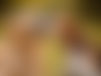 Calore e castrazione nel cane: tutto quello che devi sapere