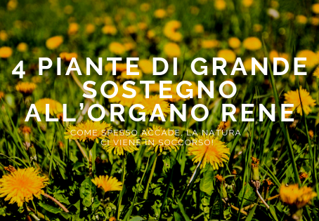 Quando i reni del nostro cane e gatto sono affaticati la natura ci viene in aiuto