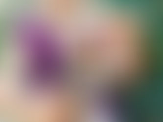 Temperatura corporea nei cani 