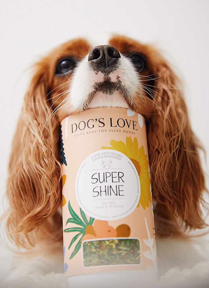 Miniatura: ERBE SUPER SHINE