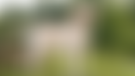 Scopri tutto sul Labrador Retriever: carattere, alimentazione, salute e consigli pratici per mantenerlo sano e felice. Guida completa per ogni fase della vita.