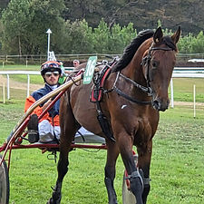 Louca Viot Deslandes