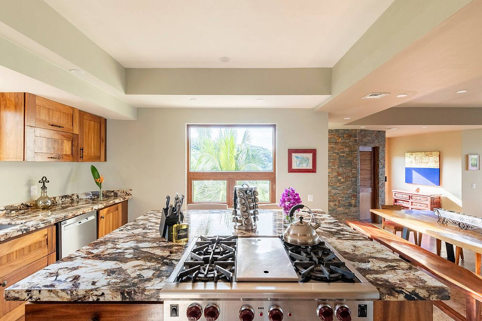 Casa Piedra Azul Kitchen 1