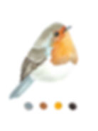 card robin