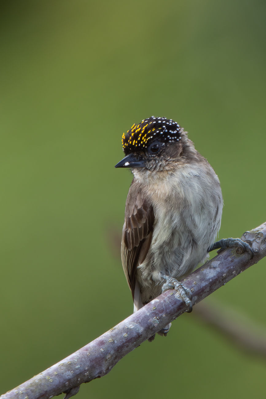 20240528-untitled--3