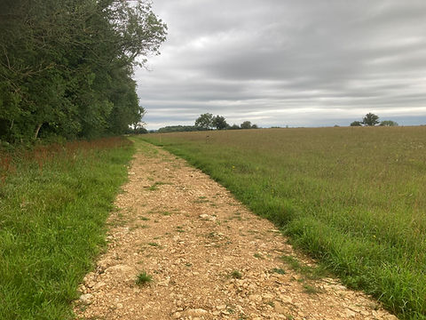 Juniper Fields Side track 2.jpg