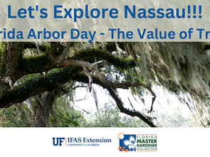 UF/IFAS Extension celebrates Florida Arbor Day 2023