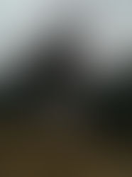 Simply Authentic...Your Soul Voice is Calling. Cultivate a Sense of Wonder