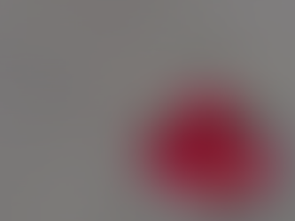 Pilot Spotlight: Interview with Gail Orenstein