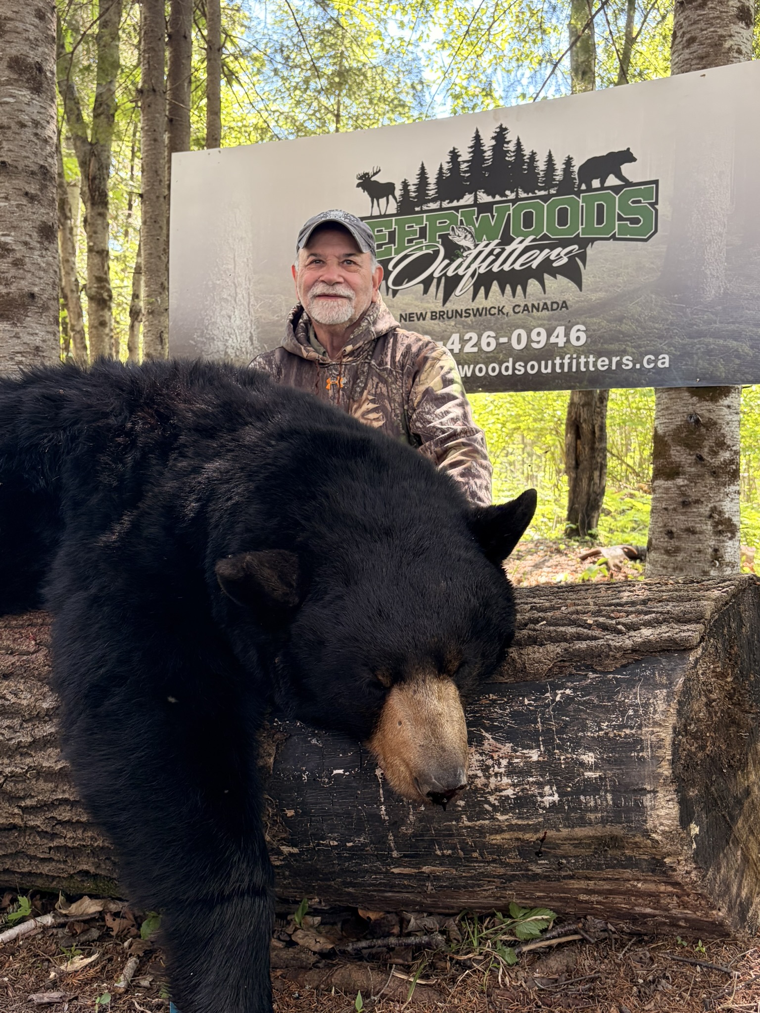Forfaits de chasse au gros gibier à l'ours noir — Deepwoods Outfitters – Deepwoods Outfitters