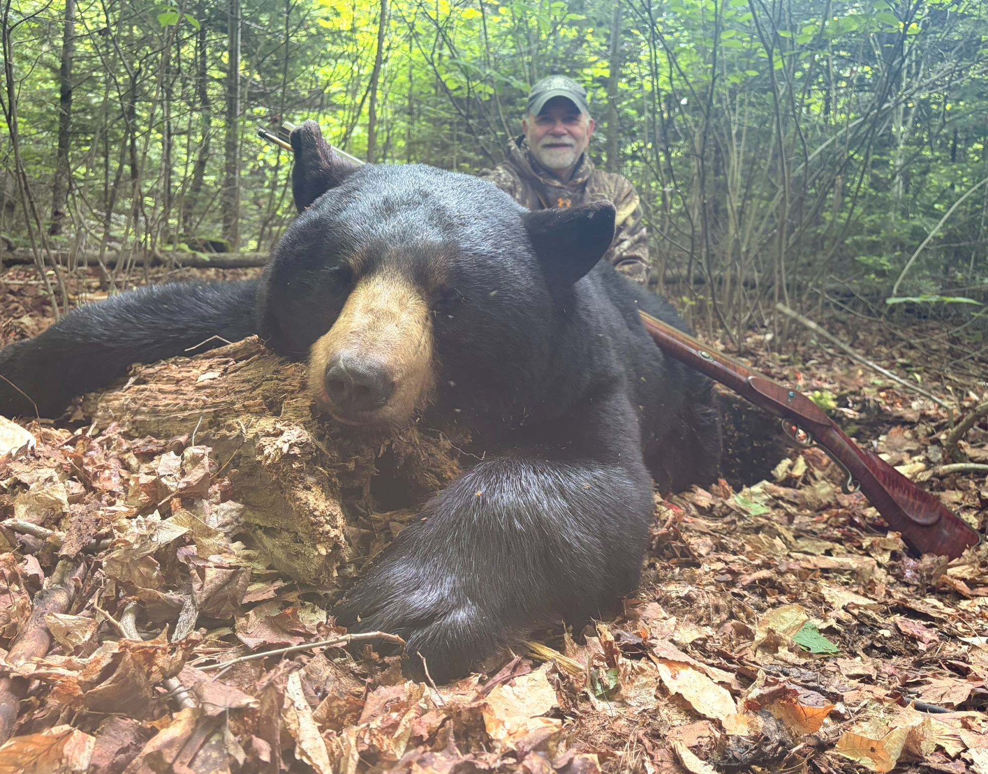 Forfaits de chasse au gros gibier à l'ours noir — Deepwoods Outfitters – Deepwoods Outfitters
