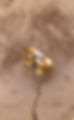 wedding rings dec 3.JPG