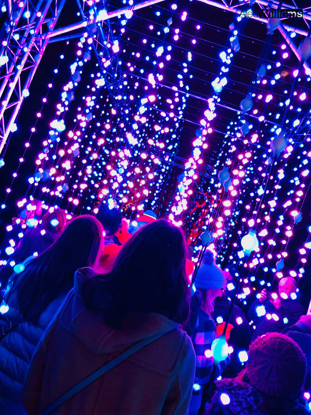 Christmas at Kew Gardens