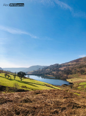 Cwmtillery in the Spring