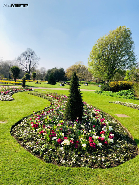 The Rose Garden (Hyde Park)