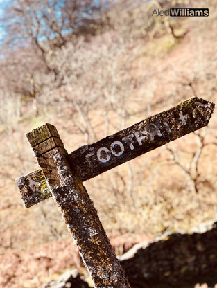 Cwmtillery in the Spring