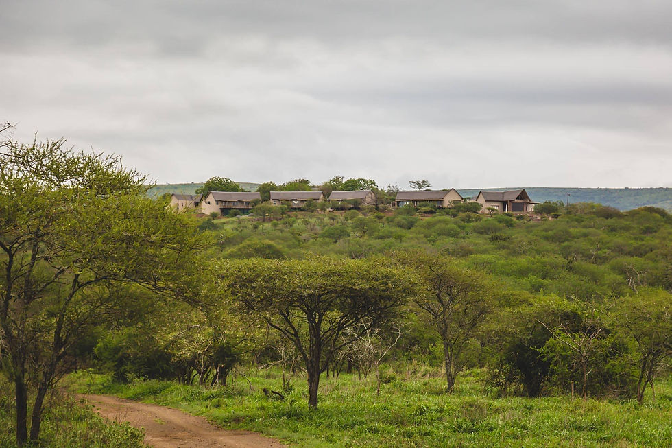 Hlekani Homestead