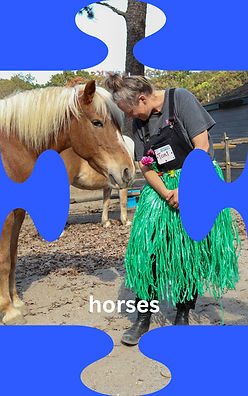 horses_edited.jpg