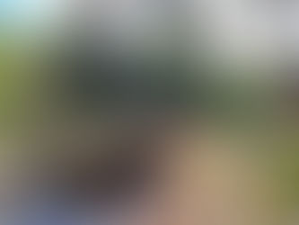 A Once-in-a-Lifetime Piece of Napier’s Natural Beauty