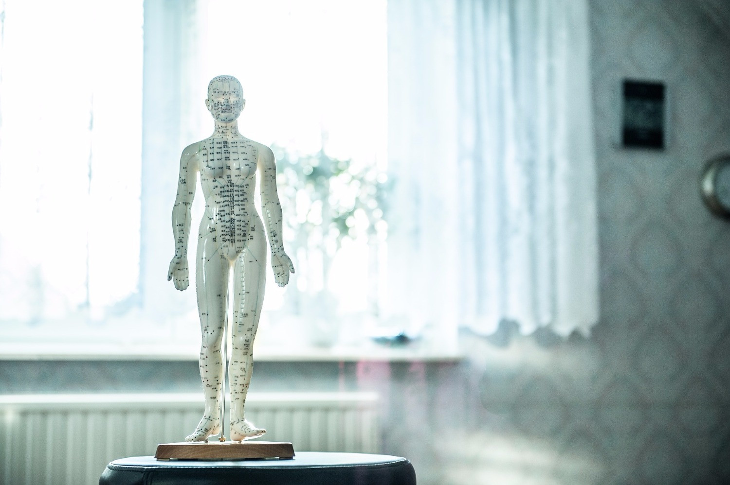 Acupuncture Dominique Tardif logo