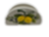 Lemon olive napkin holder painted and embossed