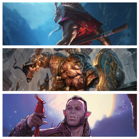 D&D 2024: Druida, Peleador, Monje