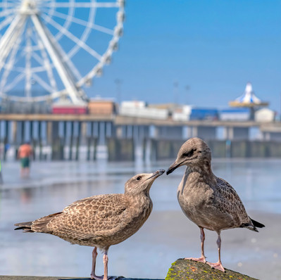 atlantic city phoptographer
