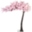 Thumbnail: DELUXE HIRE 3.2 blossom tree/canopy